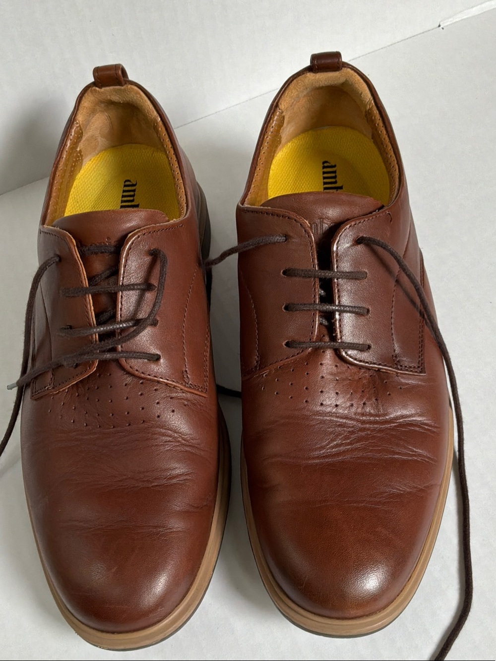 Amberjack The Original Oxfords